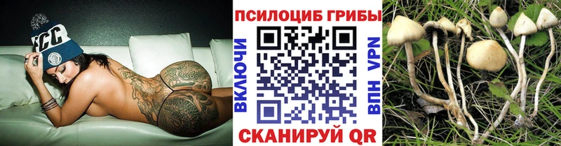 Галлюциногенные грибы Magic Shrooms  Катайск 